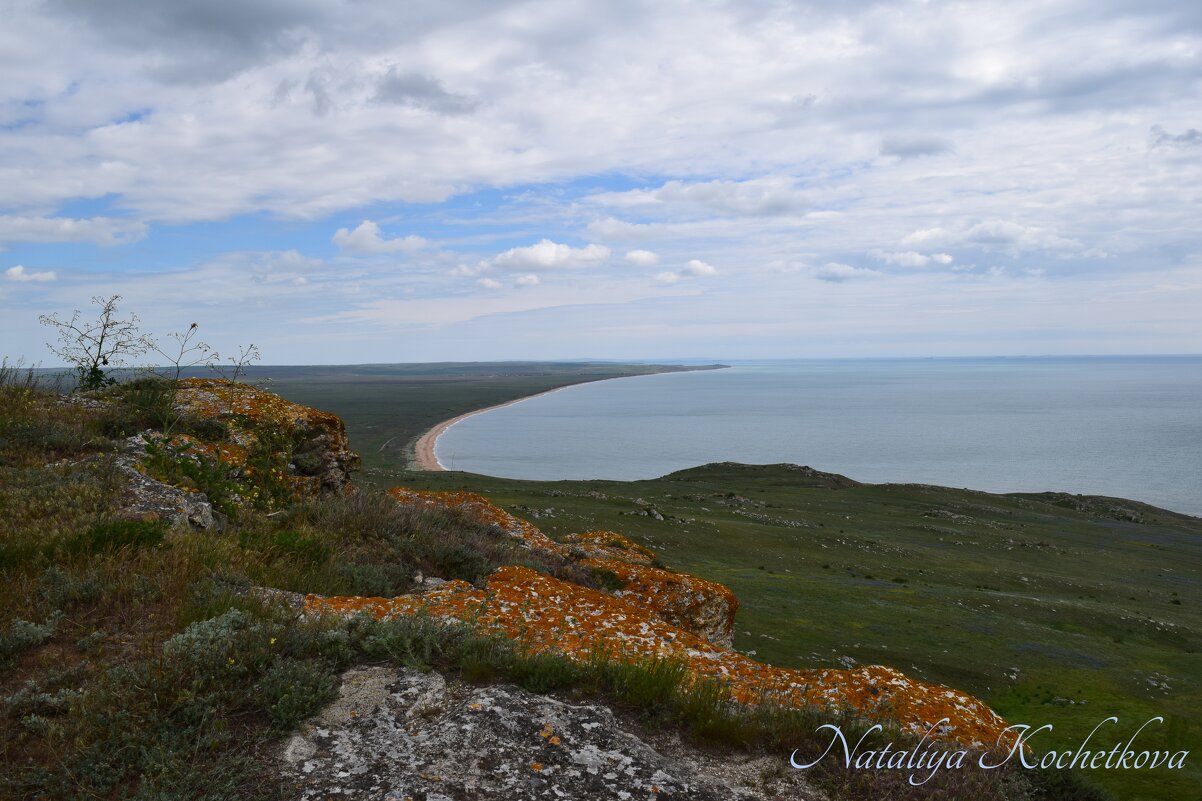 Природа Крыма - Amazing Cosmea