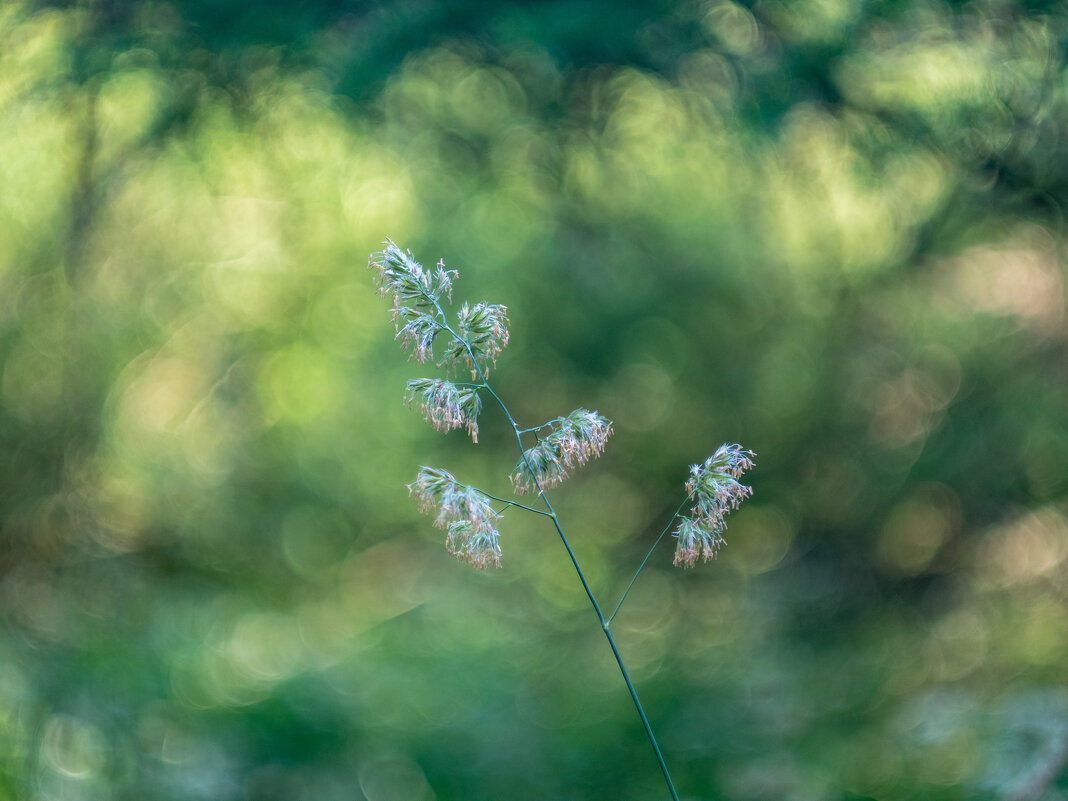 ___ - Yuriy V ___ - Yuriy V