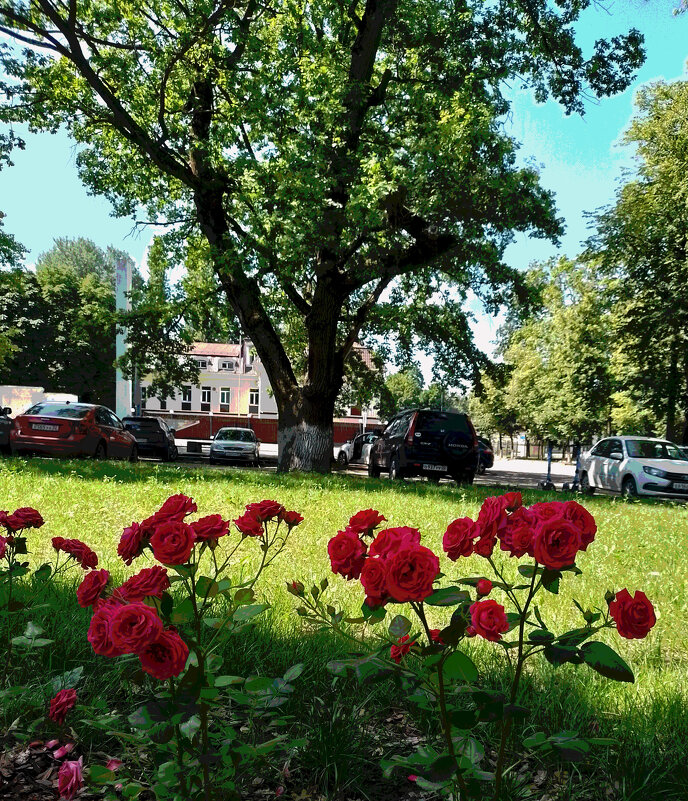 *** - Валентина Береснева