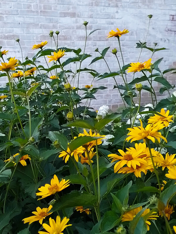 *** - Валентина Береснева