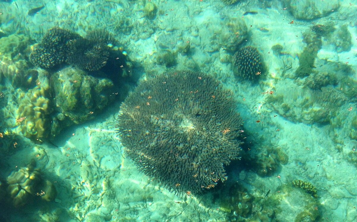 Аденский залив - Игорь Матвеев Аденский залив - Игорь Матвеев