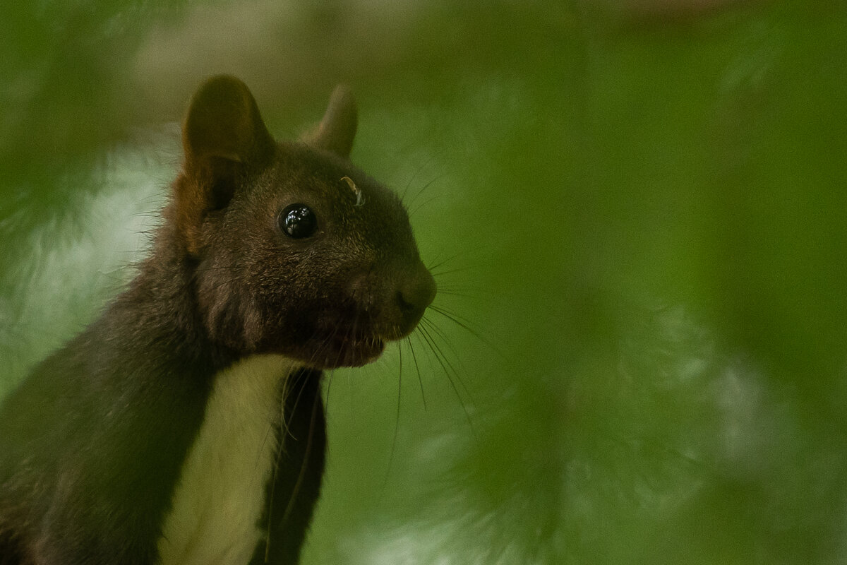 2 - Сергей Флетчер