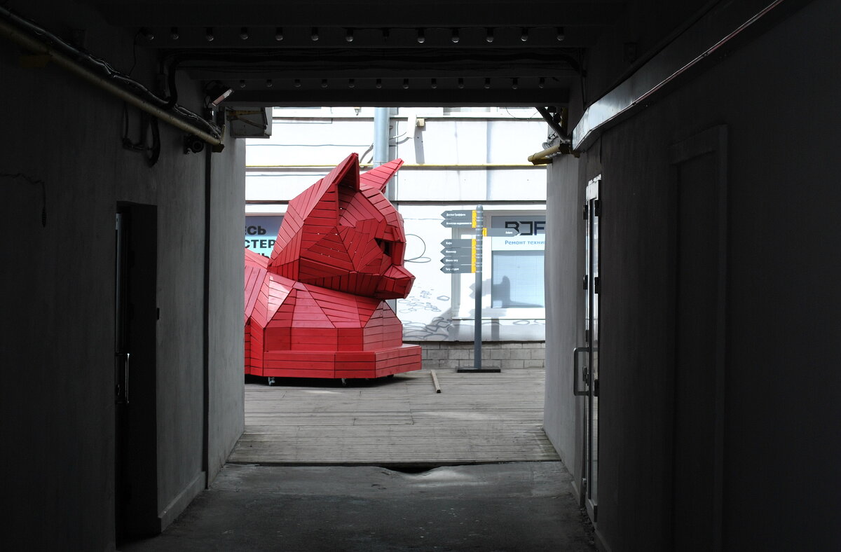 Котики нашего двора - AleksSPb Лесниченко Котики нашего двора - AleksSPb Лесниченко