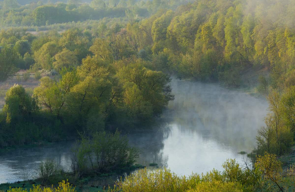 на Дону - Виталий Емельянов