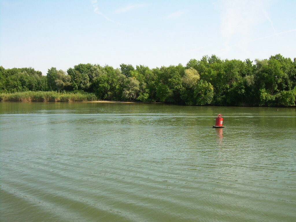Дон - Батюшка! - Татьяна Р 