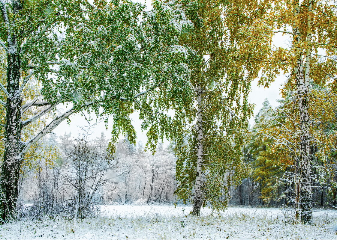 Начало октября - александр 