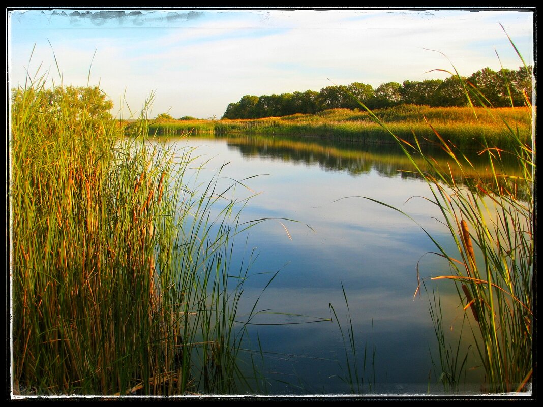 ....... - Руслан 