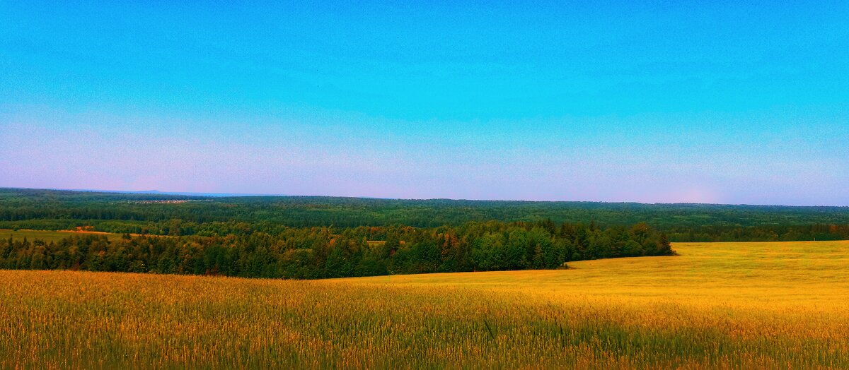 Лаконичность удмуртского пейзажа... - Леонид Абросимов