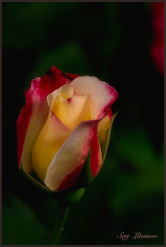 *** - Сергей Литвинов