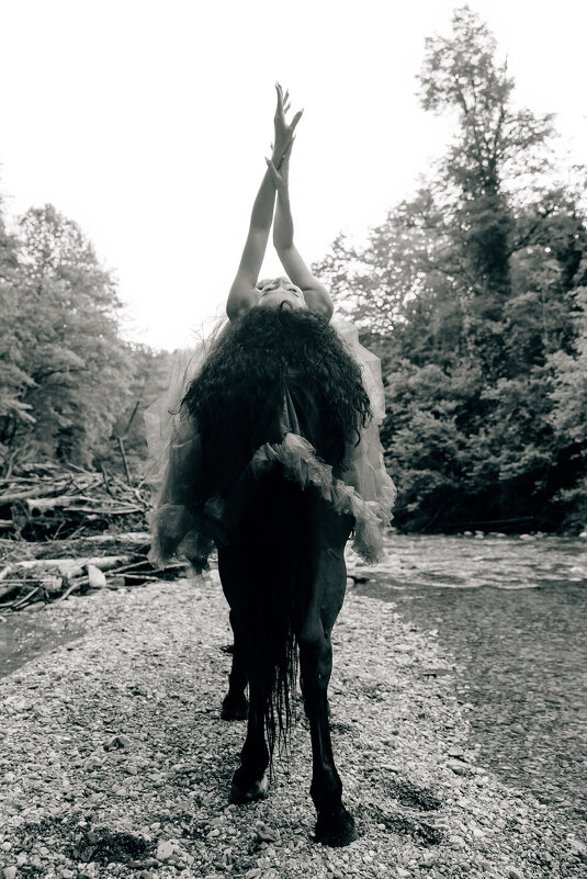 На лошади - Елена 