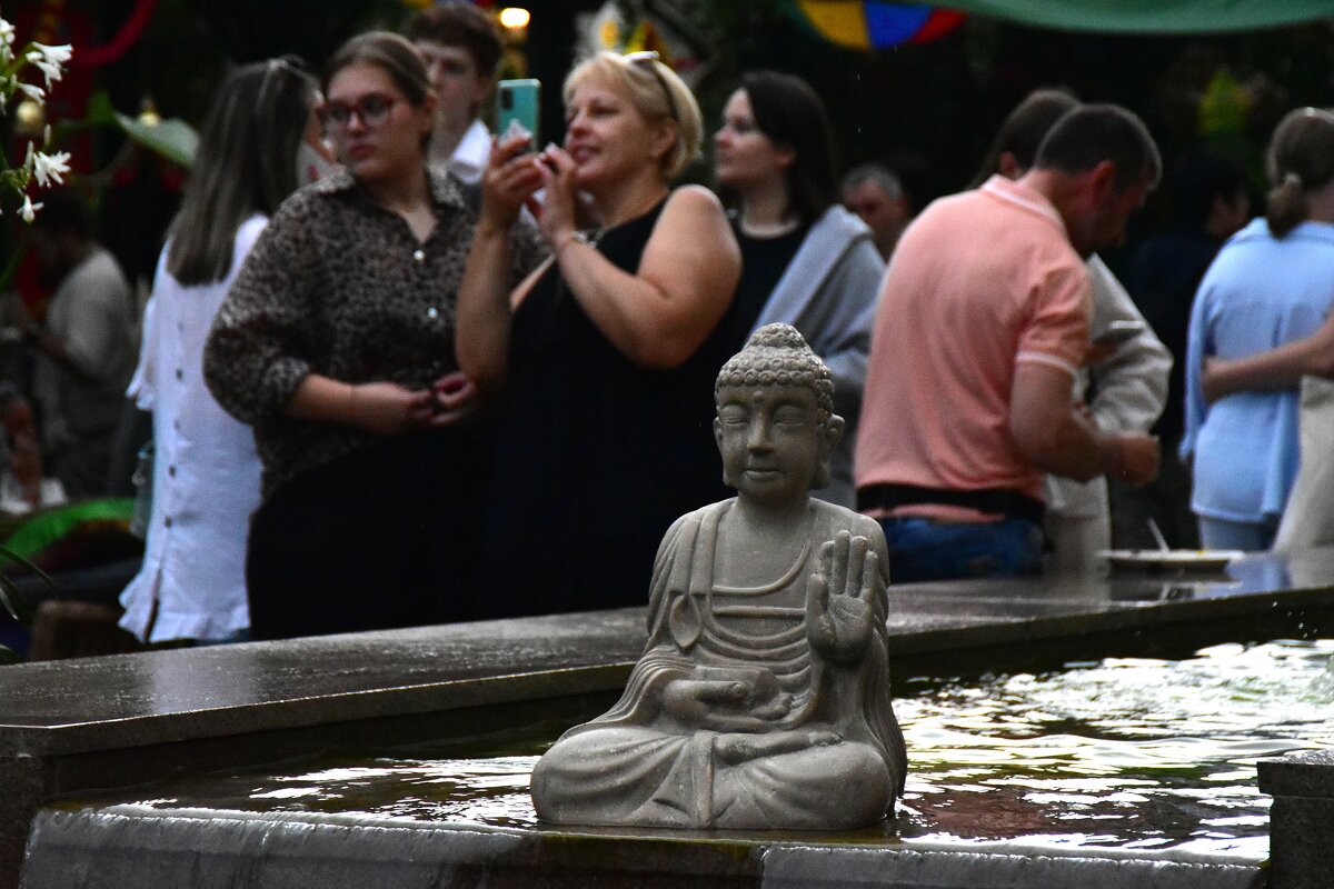 Привет от Будды. - Наталья Вязигина