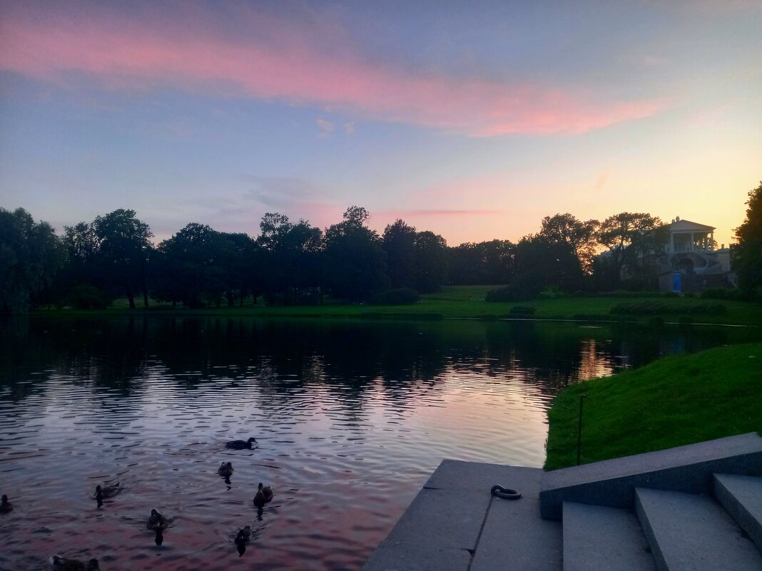 Закат и утки - Сапсан 