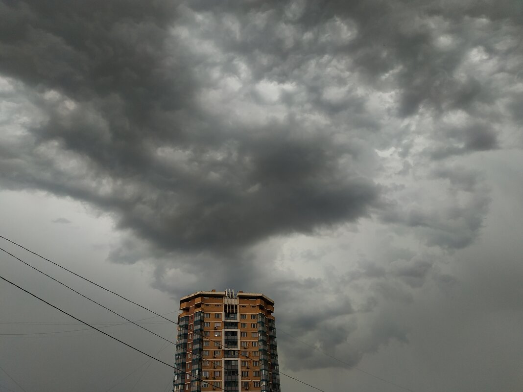 Как я провел День фотографа - Андрей Лукьянов