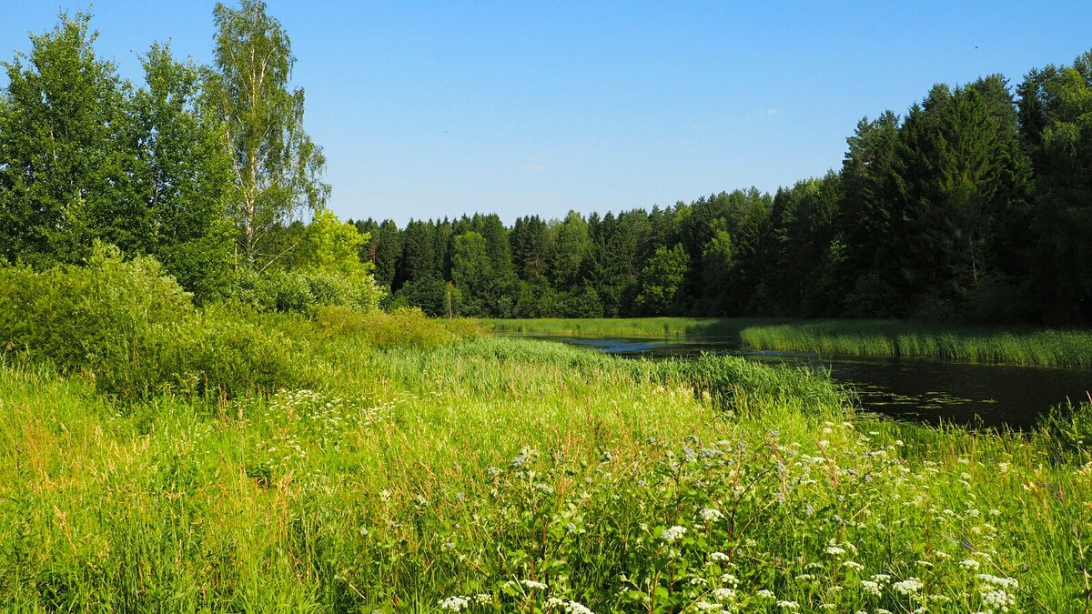 Смоленщина в июле. - Милешкин Владимир Алексеевич 