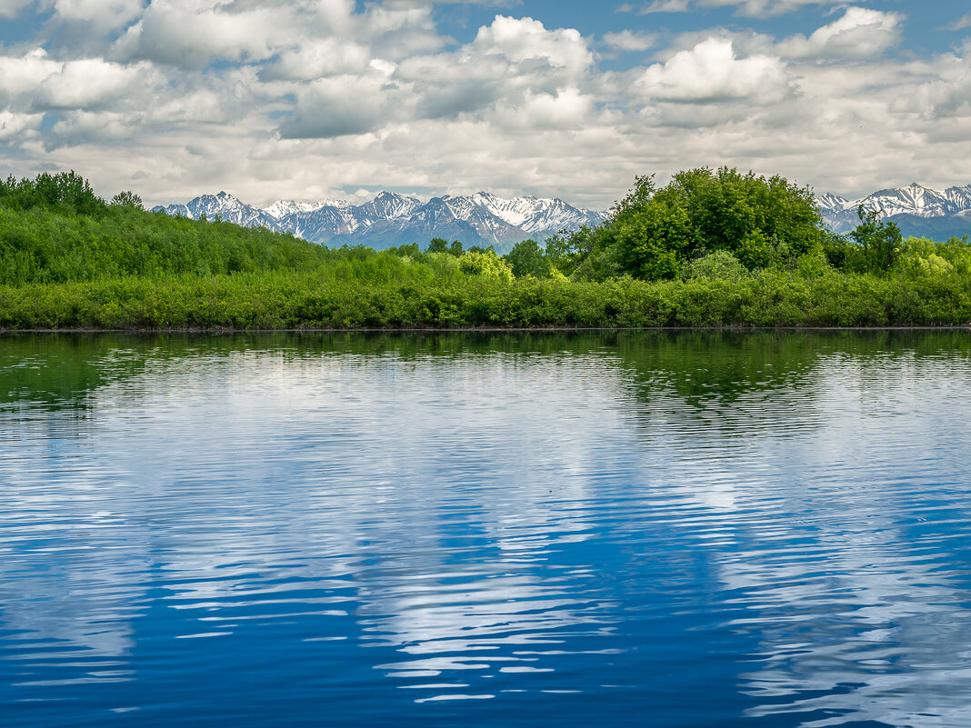 ... - Жора Житников ... - Жора Житников
