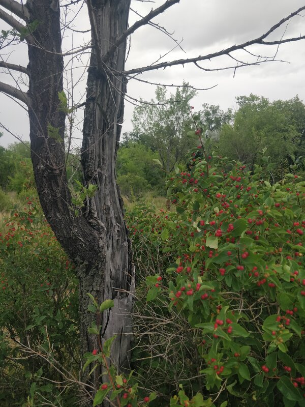 Июль - Андрей Хлопонин