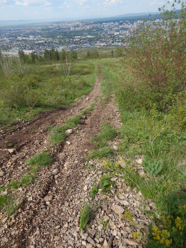 Дорога на вершину - Екатерина Панова