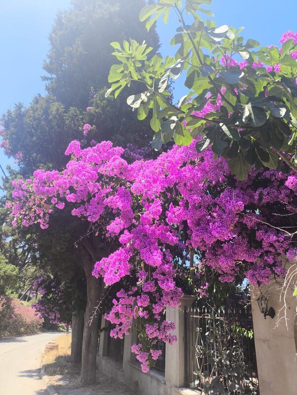 В Турции - Валентина Богатко 