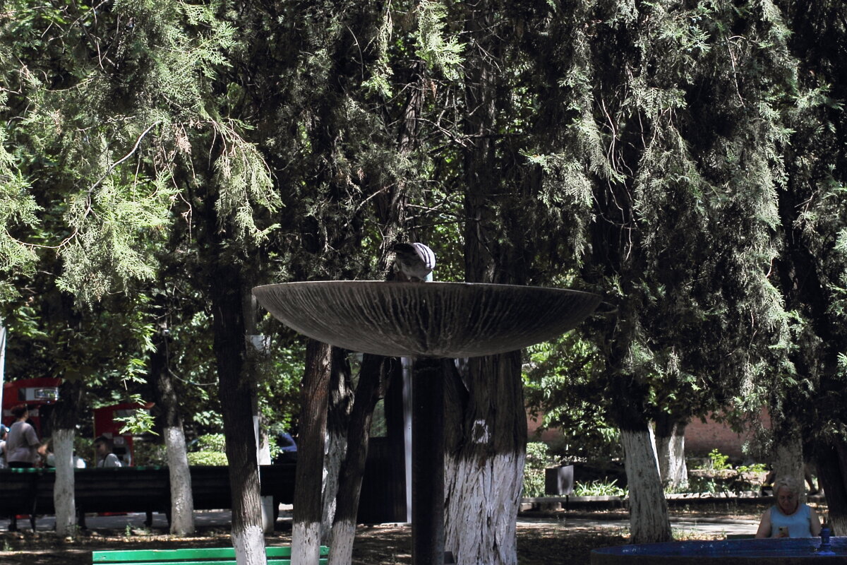 На фонтане - Юрий Гайворонскiий