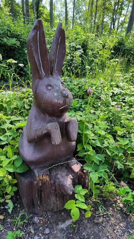 Рощинский зайка. - Ольга 