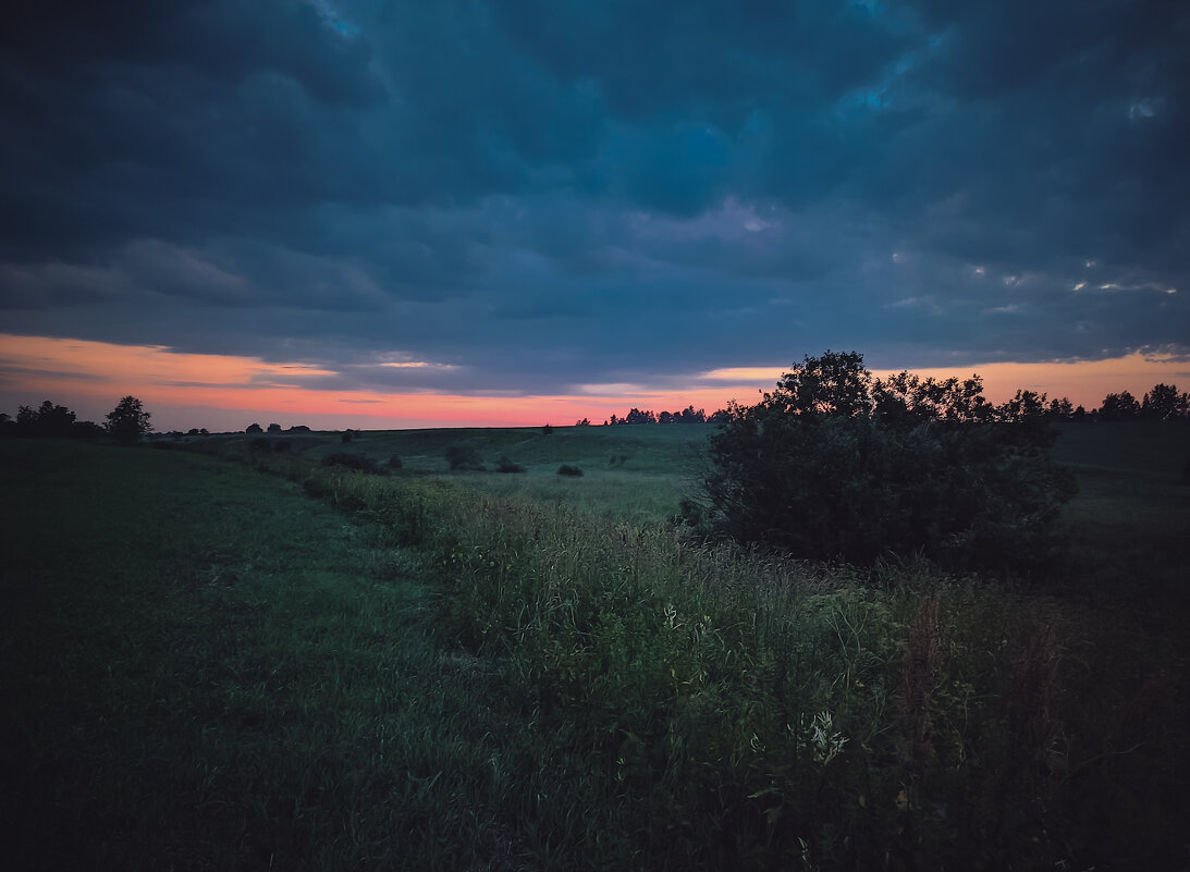 Поздний вечер в поле - Sergei Vikulov Поздний вечер в поле - Sergei Vikulov