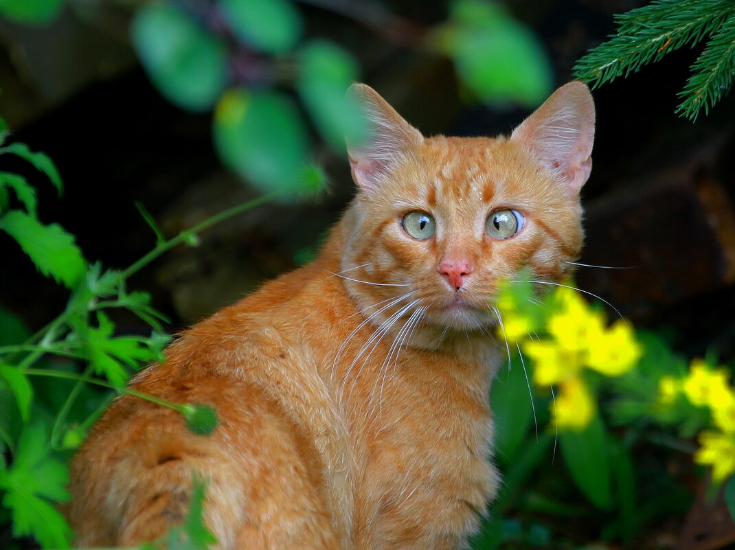 гость... - Andrey Bragin гость... - Andrey Bragin