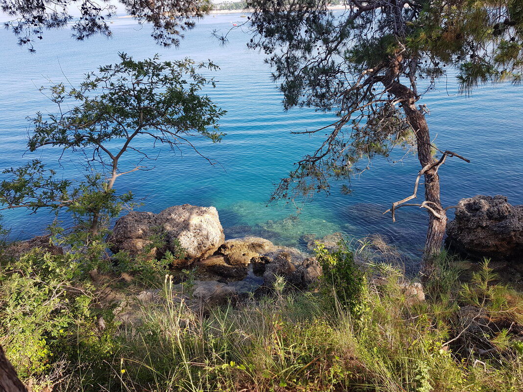 *** - Геннадий. Э.