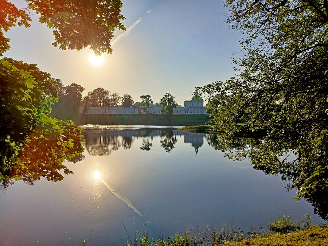 Вечернее солнце. - Лия ☼