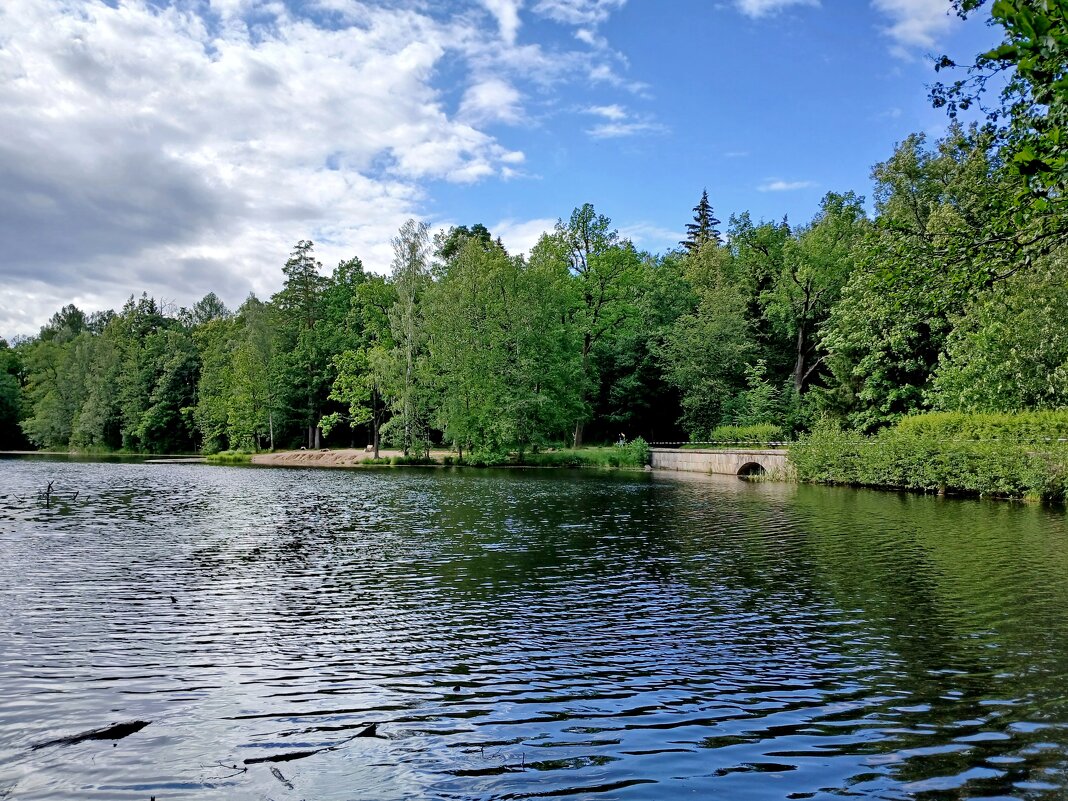 Озеро "Зелёное". - Лия ☼