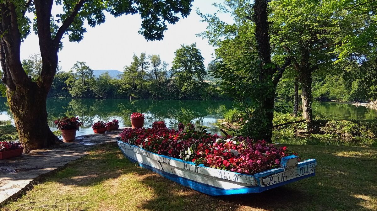 Летнее утро.. - Татьян@ Ивановна