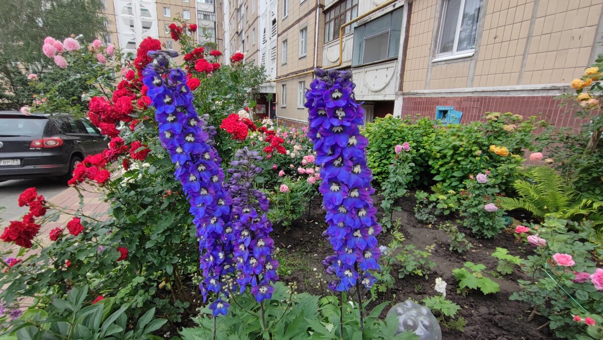 ,,, - Сергей Тимоновский