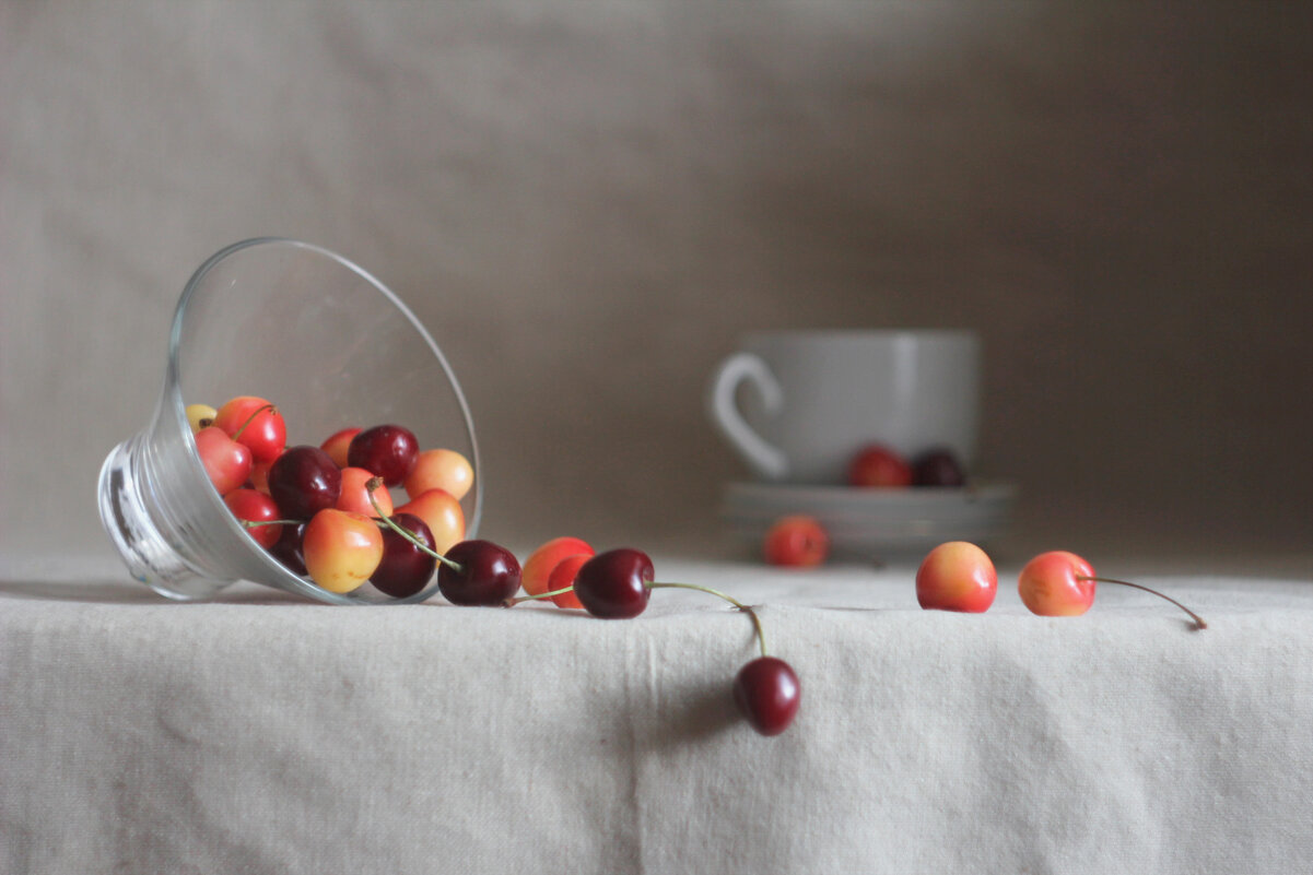 черешня - Лера 