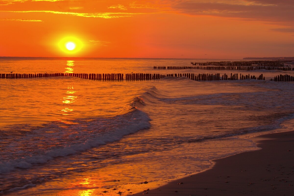 Здравствуй новый день - Юрий. Шмаков