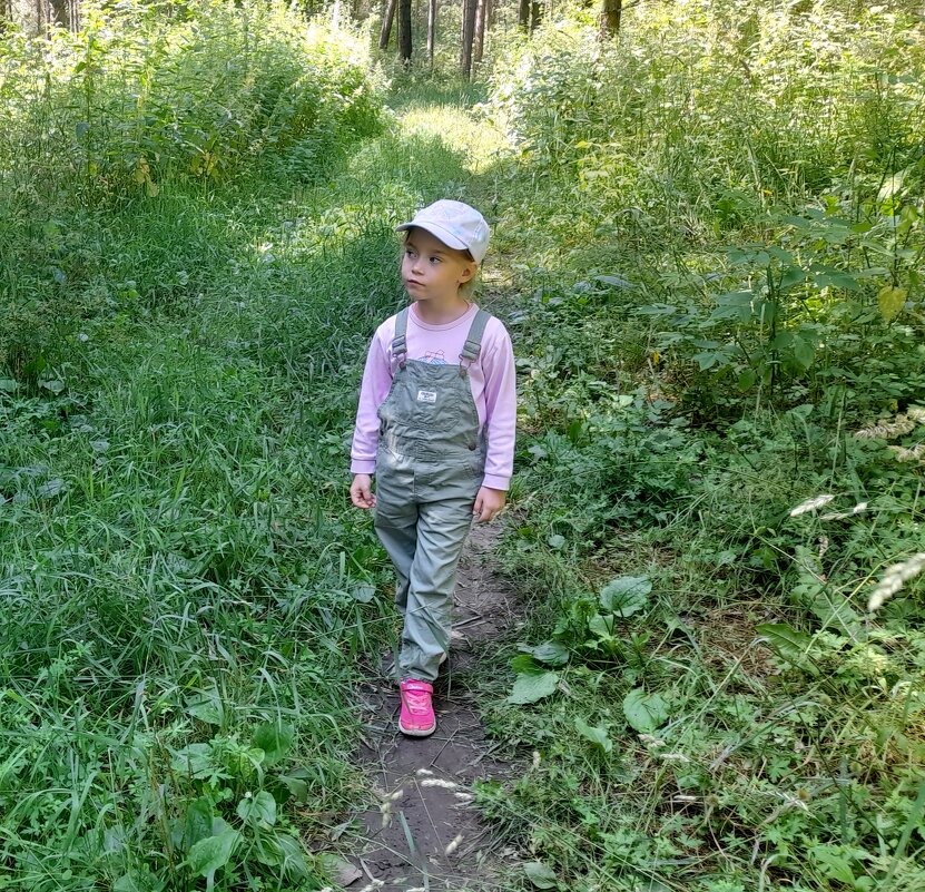 Размышления в лесу . - Мила Бовкун