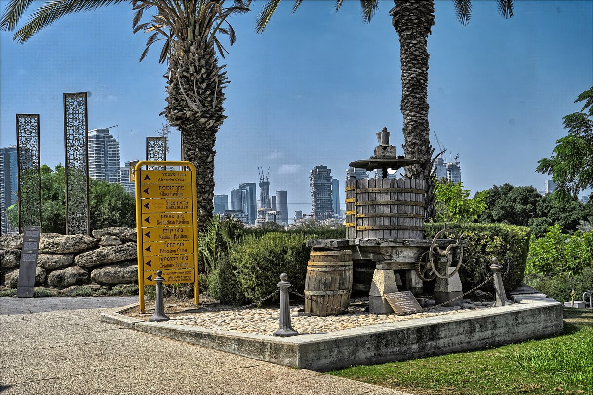 Тель-Авив11,07,2025г - ujgcvbif 