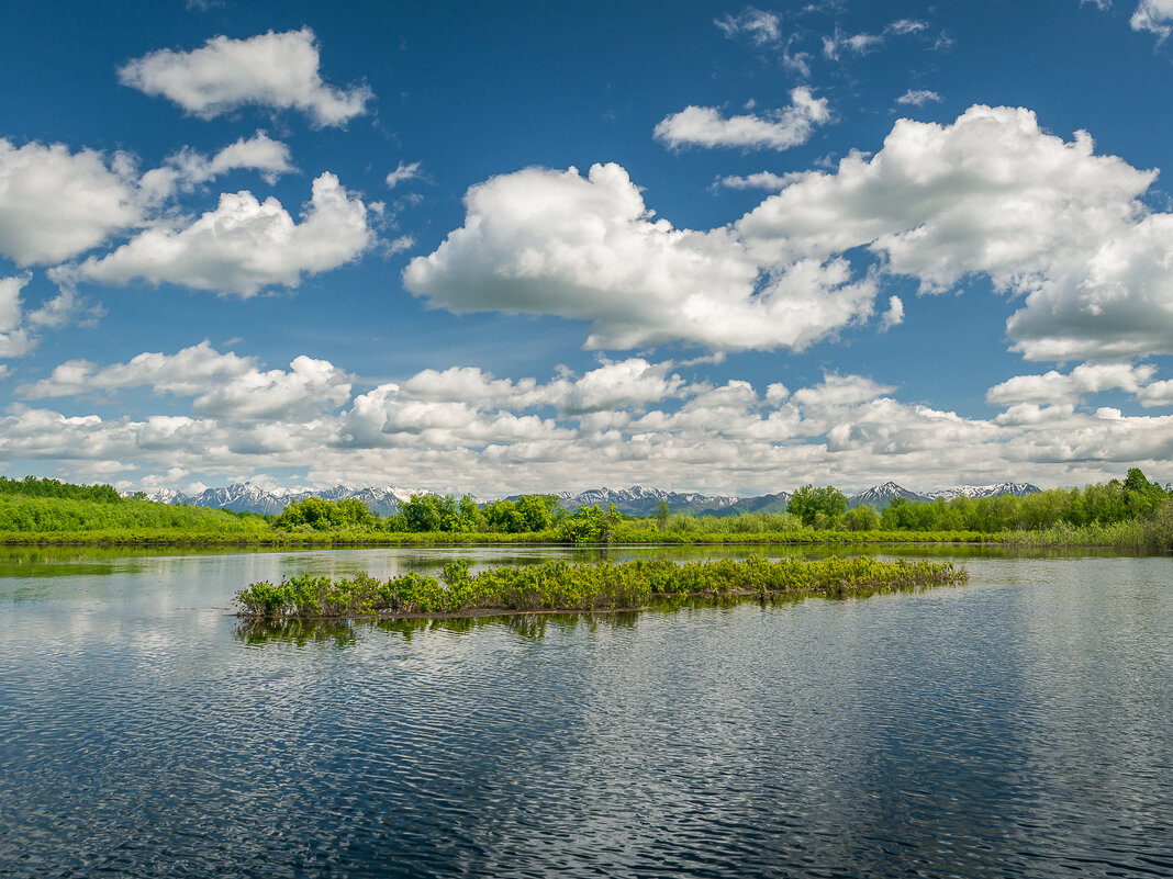 ... - Жора Житников ... - Жора Житников