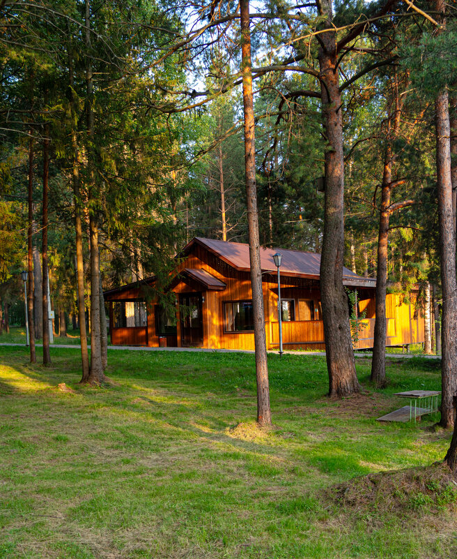 Прогулка по парку - Светлана Мишенёва