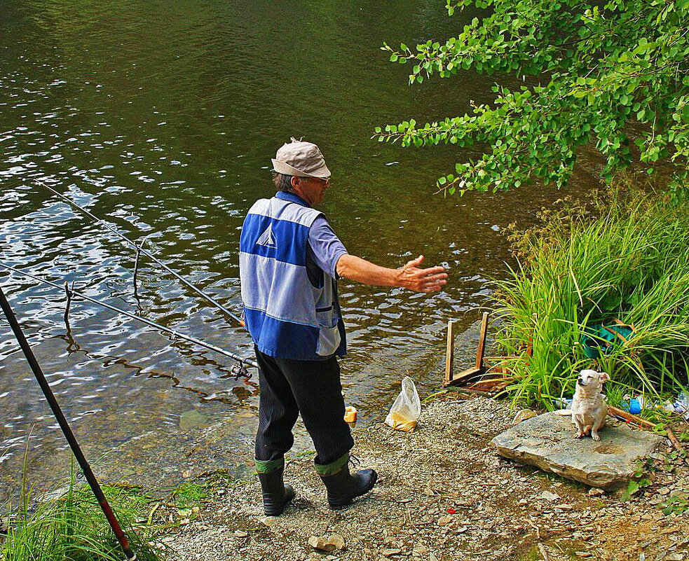 Июль...С песиком на рыбалке! - Владимир 