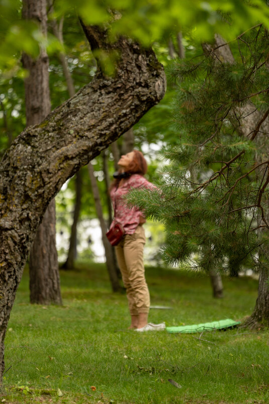 На ритрите - Сергей Флетчер