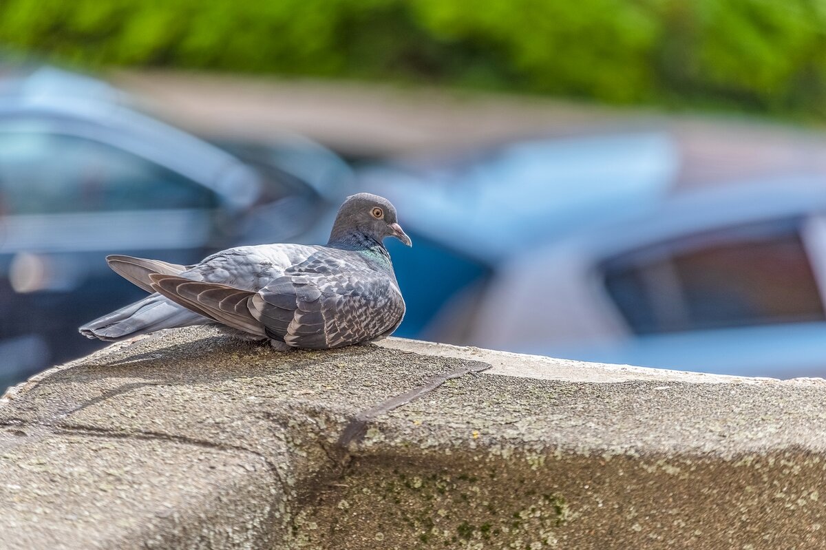 Жарко летать - Валерий Иванович