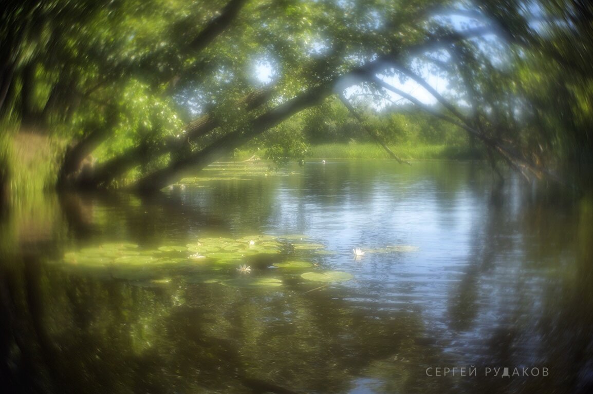 Летние грезы - Сергей Летние грезы - Сергей