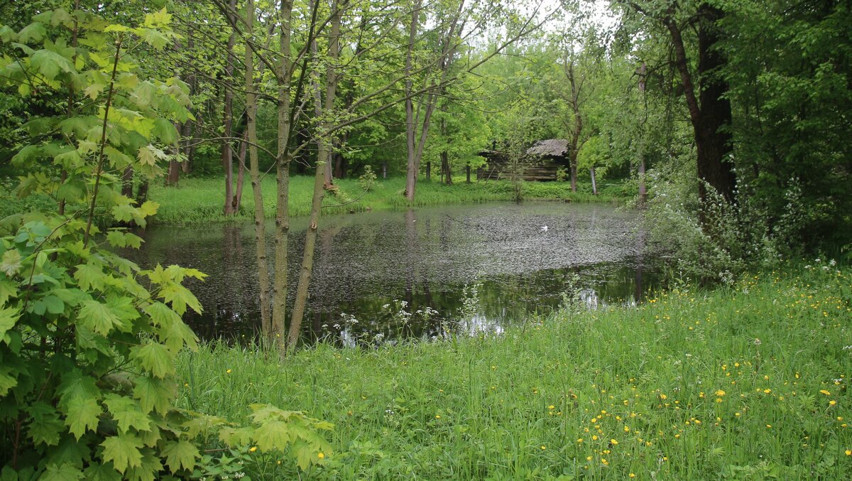 Стрельна. Орловский парк - Наталья Герасимова Стрельна. Орловский парк - Наталья Герасимова