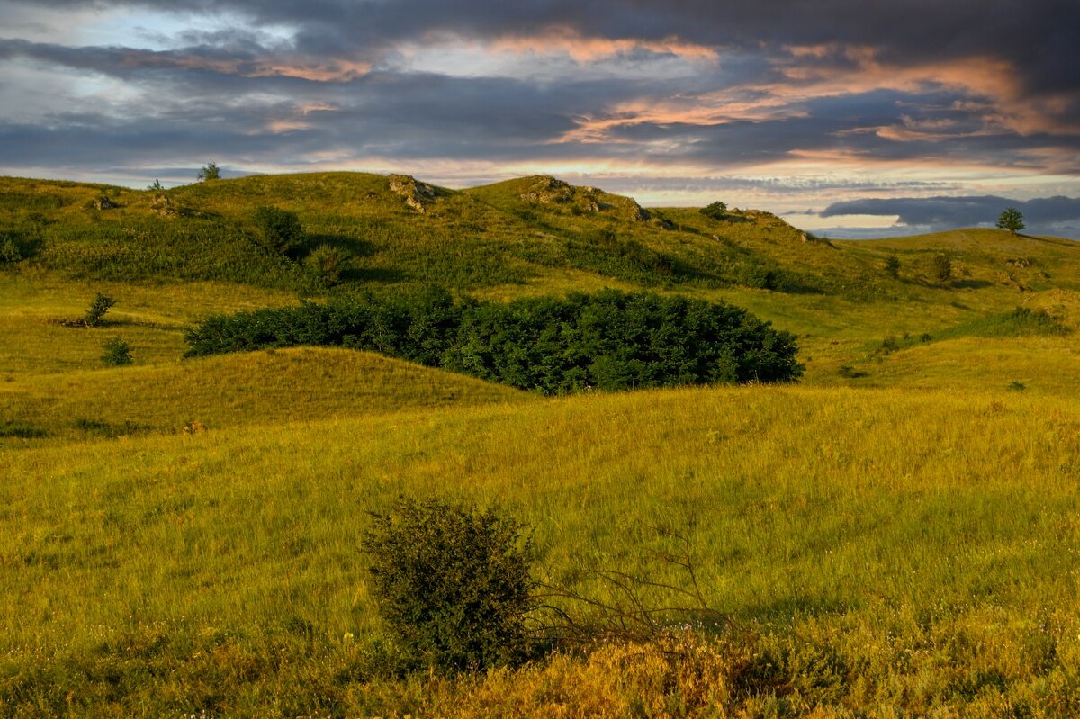 Летний вечер - Игорь Сикорский