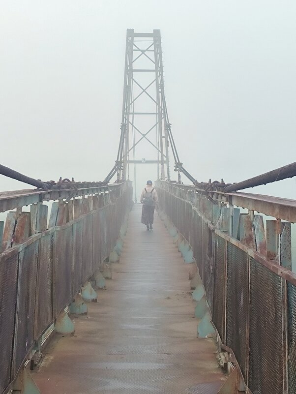 *** - Владимир 