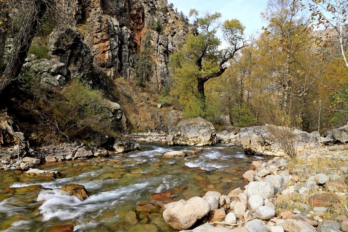 ПО НИЗАМ. - Виктор Осипчук