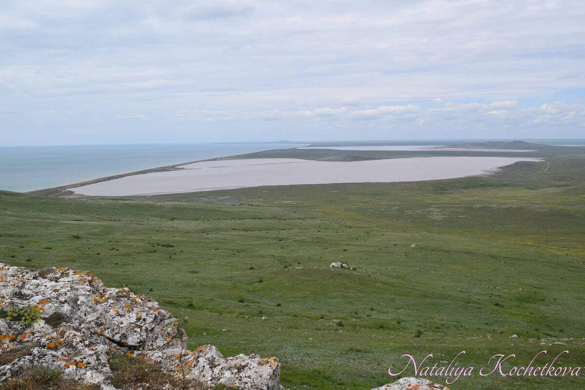 Природа Крыма - Amazing Cosmea