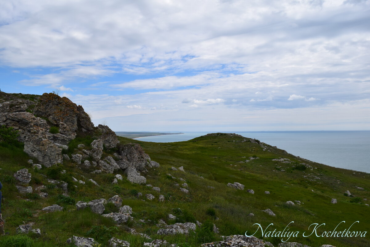 Природа Крыма - Amazing Cosmea