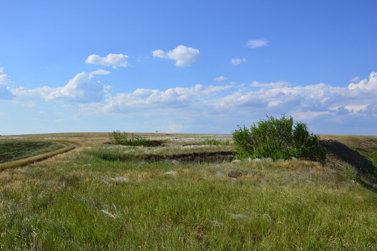 В степи. - Виктор 