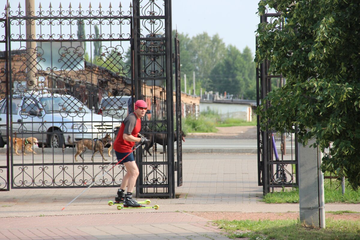 В парке. - Венера Чуйкова В парке. - Венера Чуйкова