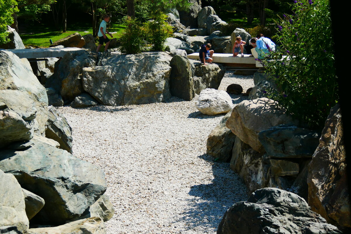 Дети разглядывают черепаху.( она в тени под мостиком) - Alexey YakovLev Дети разглядывают черепаху.( она в тени под мостиком) - Alexey YakovLev